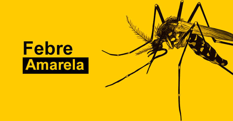 Febre Amarela: alerta aos viajantes 1 Febre Amarela1 1