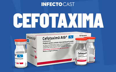 Cefotaxima InfectoCast