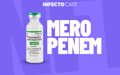 Meropenem - InfectoCast