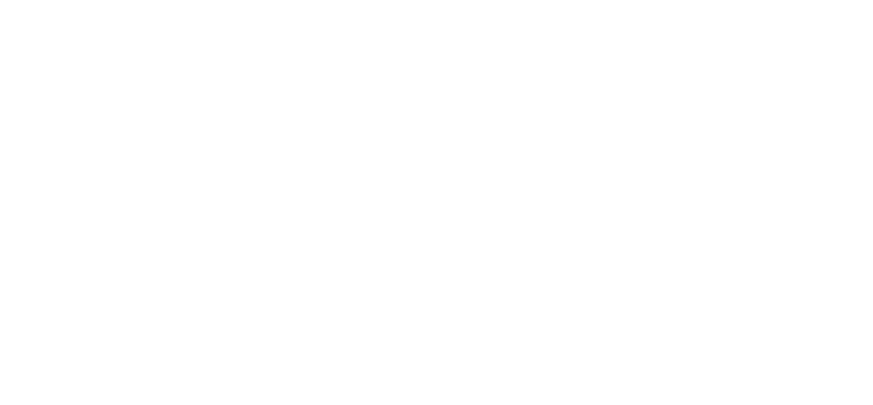 CCIH Branco logo