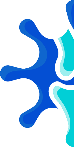 logo orto metade